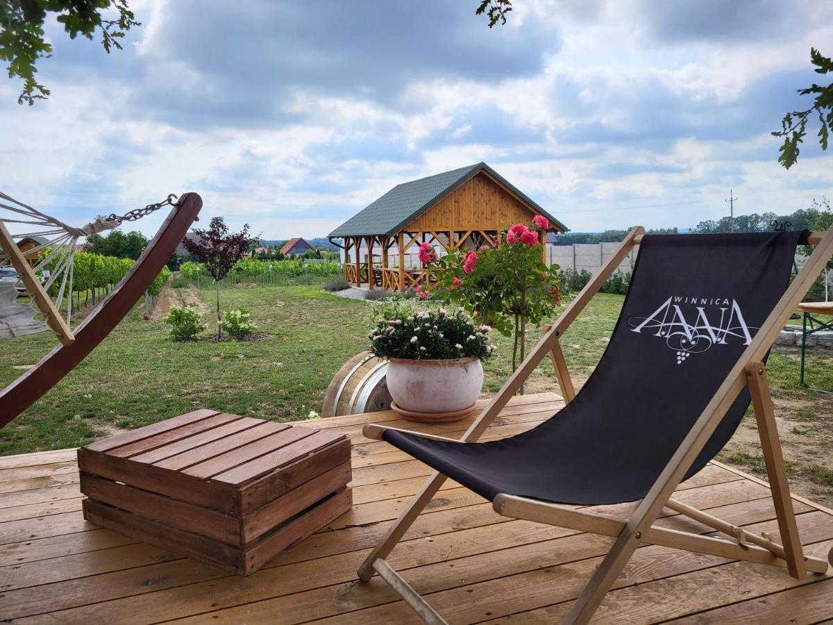Winnica Anna