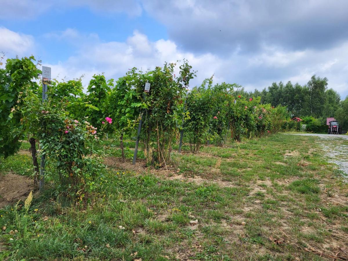 Winnica Anna Bauernhof *